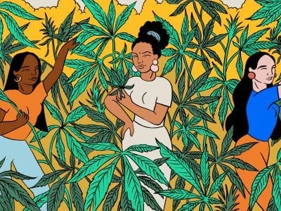 7 Crazy Differences Between Male and Female Weed Plants