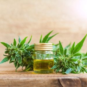 Is CBD Legal In the U.S? State Guide For CBD Business 2020! 2