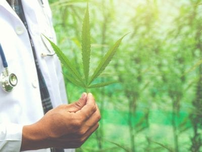Top 10 Health Benefits Of CBD (You Might Not Know About!)