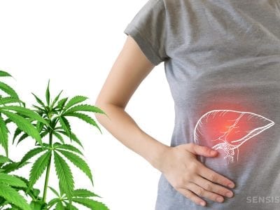 9 Ways To Save Your Liver From Toxic Cbd Side Effects