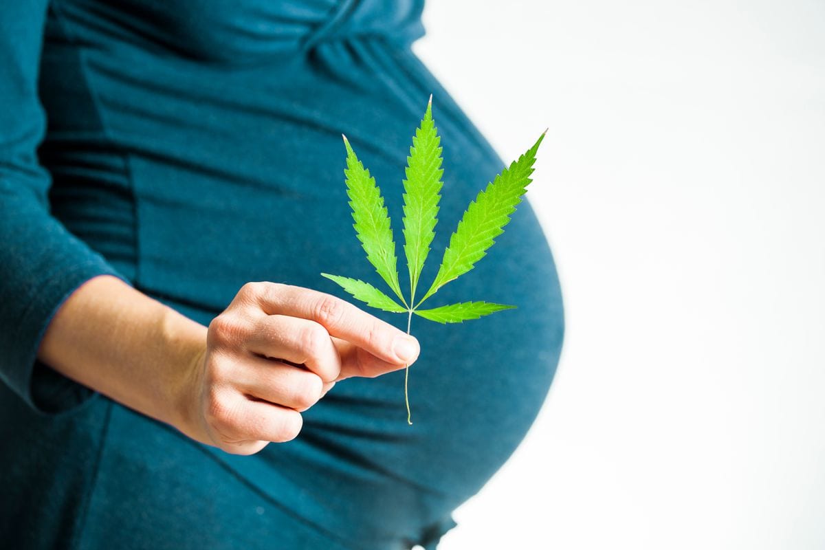марихуана и планирование беременности