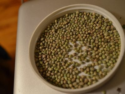 Cannabis Seeds: Benefits for health